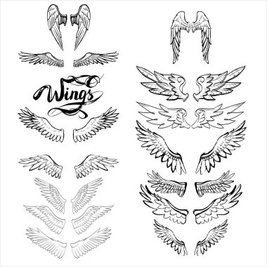 melek kanatları vektörü, harf, çizim