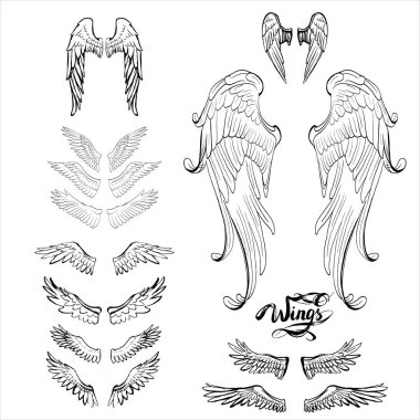 melek kanatları vektörü, harf, çizim