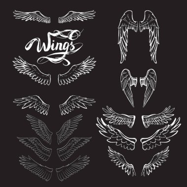 melek kanatları vektörü, harf, çizim