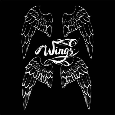 melek kanatları vektörü, harf, çizim