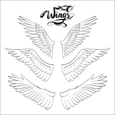 melek kanatları vektörü, harf, çizim