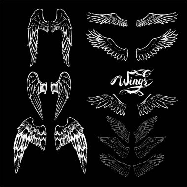 melek kanatları vektörü, harf, çizim