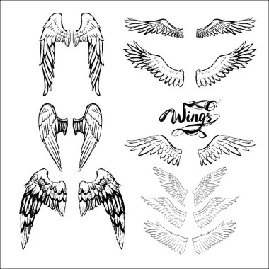 melek kanatları vektörü, harf, çizim