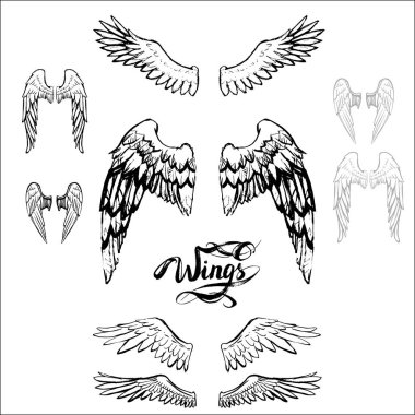melek kanatları vektörü, harf, çizim