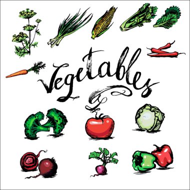 Salatalık Domates peynir salata kiraz kavun karpuz soğan sarımsak havuç patates sulu boya seti