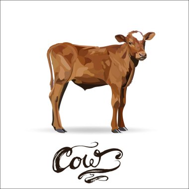 çerçevesi vintage Barok simgesi