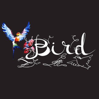 sinek kuşu kuş simgesi grafik, simge, suluboya resim, çizgi, desen arka plan doku