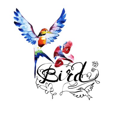 sinek kuşu kuş simgesi grafik, simge, suluboya resim, çizgi, desen arka plan doku