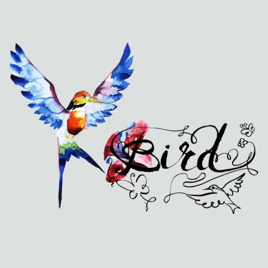 sinek kuşu kuş simgesi grafik, simge, suluboya resim, çizgi, desen arka plan doku