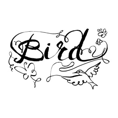 sinek kuşu kuş simgesi grafik, simge, suluboya resim, çizgi, p