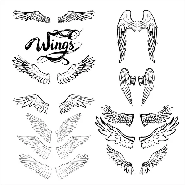 Angel wings vector, lettering, drawing — Stock Vector