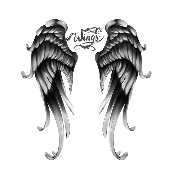 Angel wings vector, lettering, drawing — Stock Vector