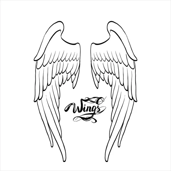 Wings Sketch Set — Stock Vector © macrovector #77157569