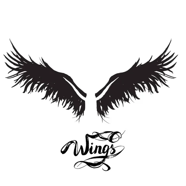 Vektor andělských křídel, písmo, kresba — Stockový vektor