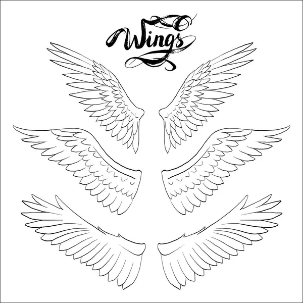 Angel wings vector, lettering, drawing — Stock Vector