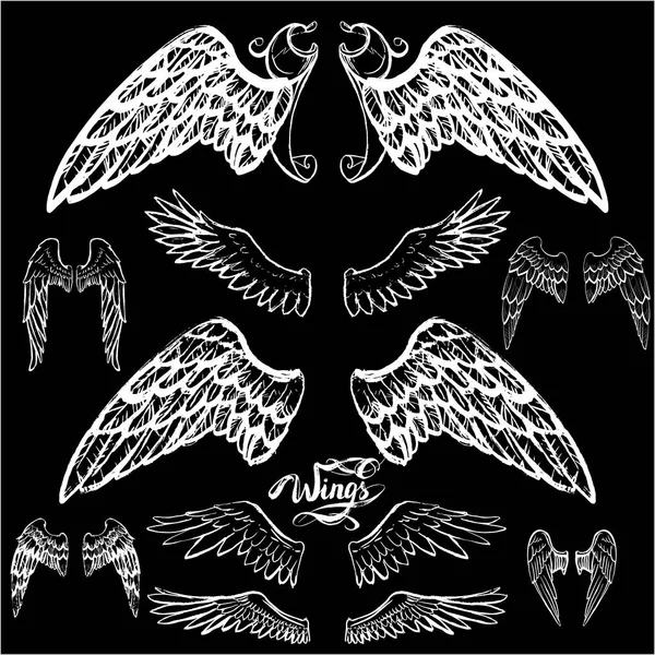 Angel wings vector, lettering, drawing — Stock Vector