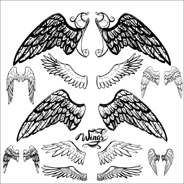 Engel vleugels vector, belettering, tekening — Stockvector