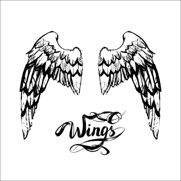 Angel wings vector, lettering, drawing — Stock Vector