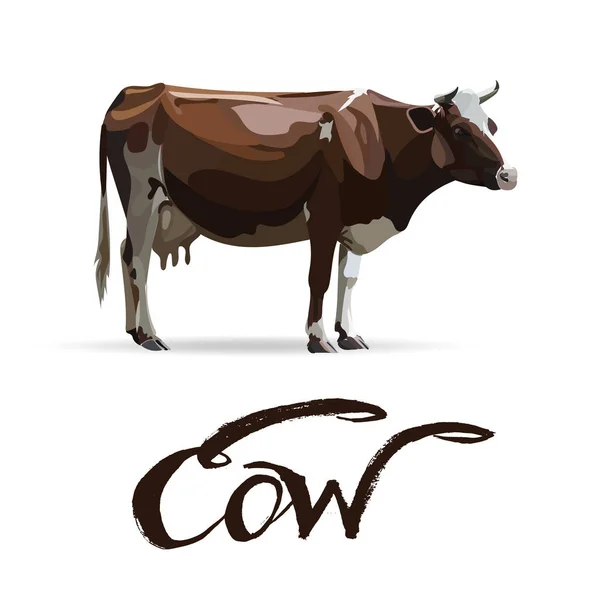 Vaca Bezerro castanho, vetor — Vetor de Stock