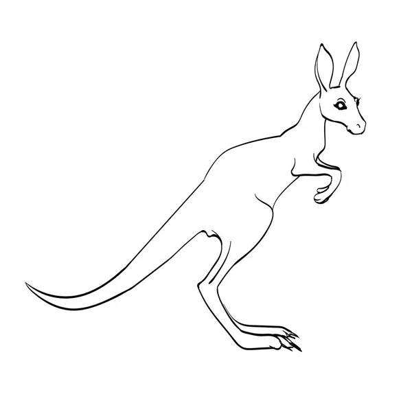 Kanguru vektör Icon set — Stok Vektör