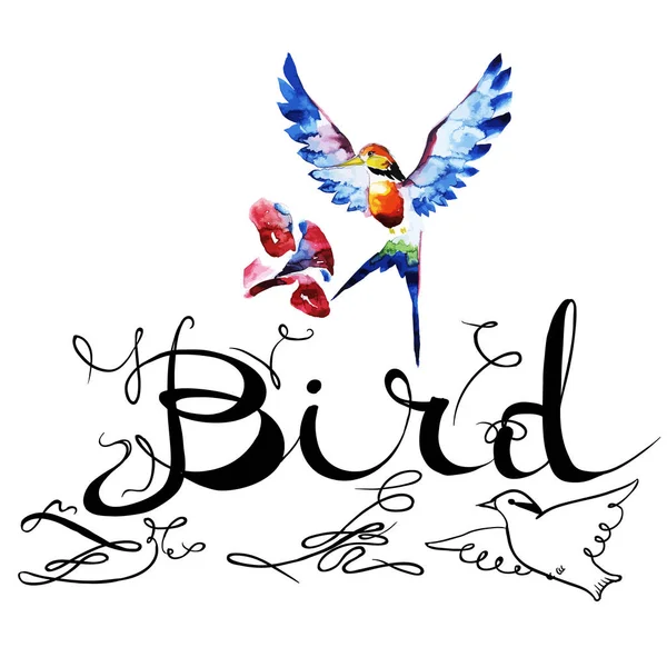 Colibri oiseau icône graphique, icône, dessin à l'aquarelle, ligne, motif texture de fond — Image vectorielle