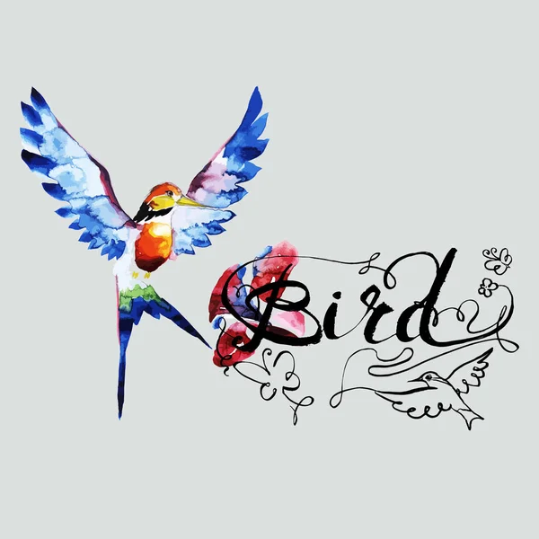 sinek kuşu kuş simgesi grafik, simge, suluboya resim, çizgi, desen arka plan doku