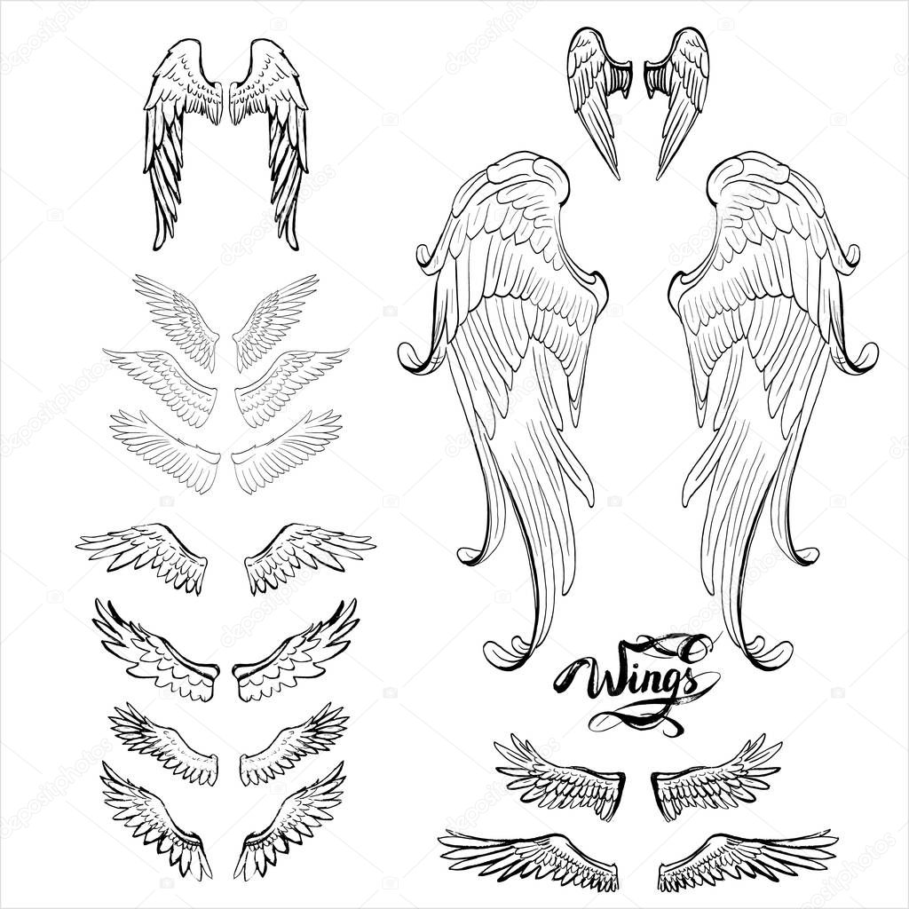 Angel wings vector, lettering, drawing — Stock Vector © tanshy #136005210