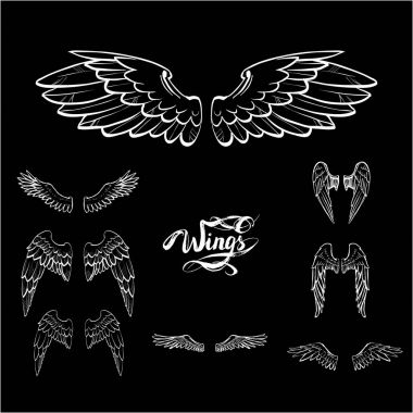 melek kanatları vektörü, harf, çizim