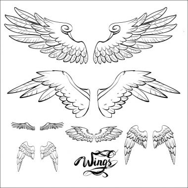 melek kanatları vektörü, harf, çizim