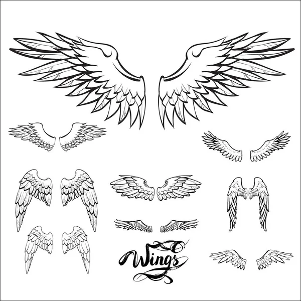 Angel wings vector, lettering, drawing — Stock Vector