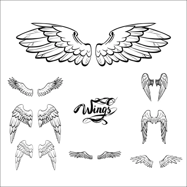 Angel wings vector, lettering, drawing — Stock Vector