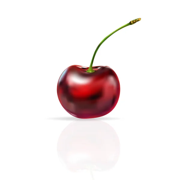 Cereza roja, cereza, dibujo — Vector de stock