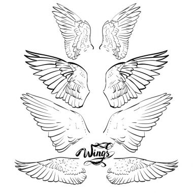 Melek kanatları, çizim vektör yazı,