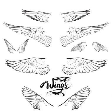 Melek kanatları, çizim vektör yazı,