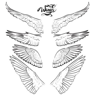 Melek kanatları, çizim vektör yazı,