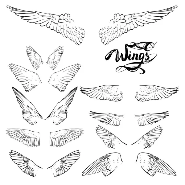 Melek kanatları, çizim vektör yazı,