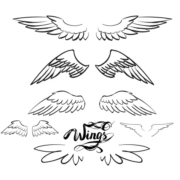 melek kanatları vektörü, harf, çizim