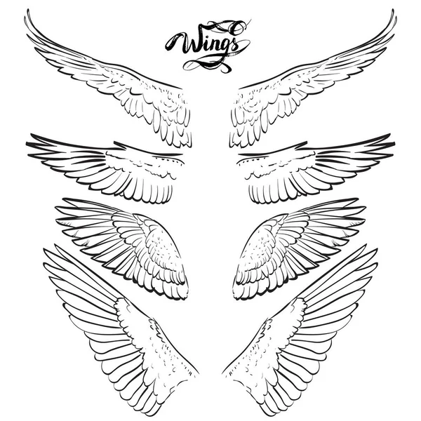 Engel vleugels, belettering, tekening vector — Stockvector