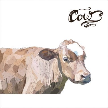 İnek Buzağı kahverengi, vektör