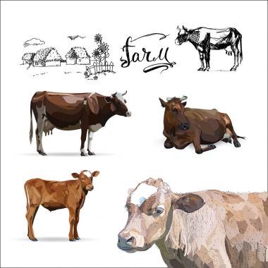 İnek Buzağı kahverengi, vektör