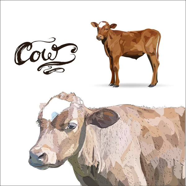 Vaca becerro marrón, vector — Vector de stock