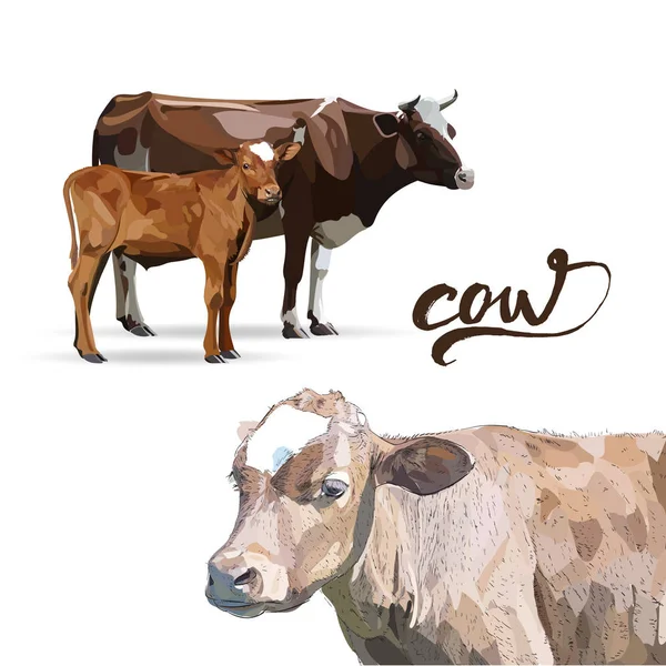 Vaca Bezerro castanho, vetor — Vetor de Stock