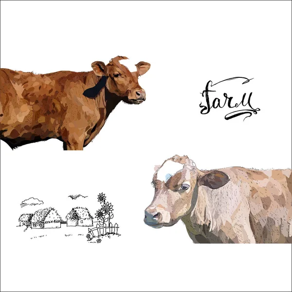 Cow Calf brown, vector — Stock Vector