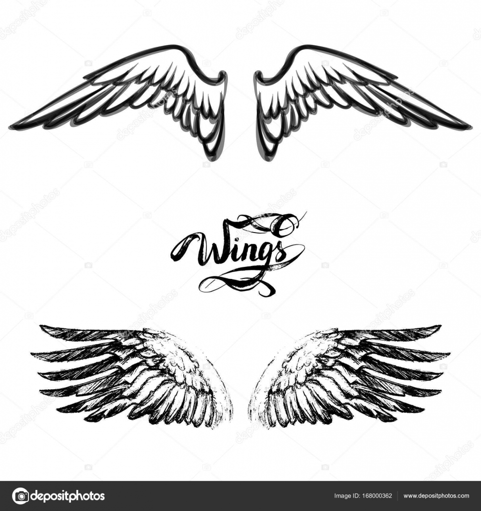 drawing angel wing angel wings vector lettering drawing angel wing drawing