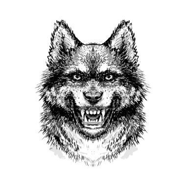 Namlu, kurt kafası bir T-shirt için dişleri bared ile