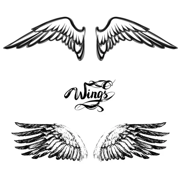 Angel wings vector, lettering, drawing — Stock Vector