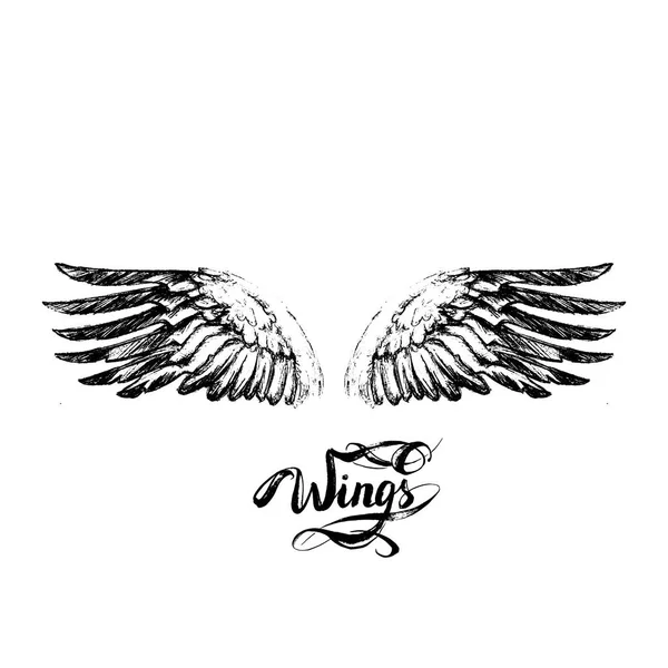 Angel wings vector, lettering, drawing — Stock Vector