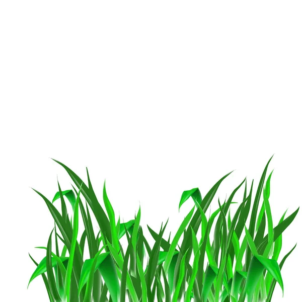 Grass Grön Smidig Konsistens — Stock vektor