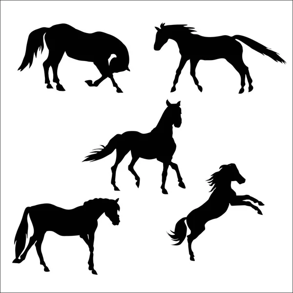 Horse Silhouettes Vector Set — Stock Vector