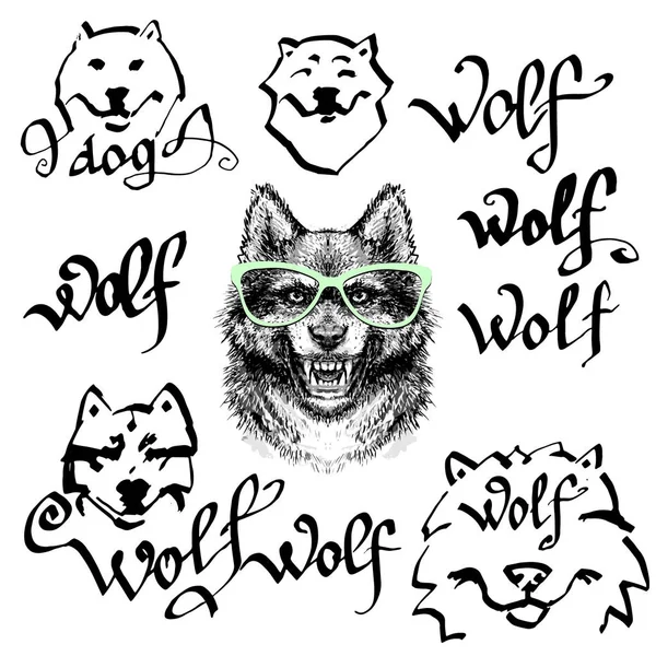 Wolf Brille Vektor Print Für Shirt — Stockvektor